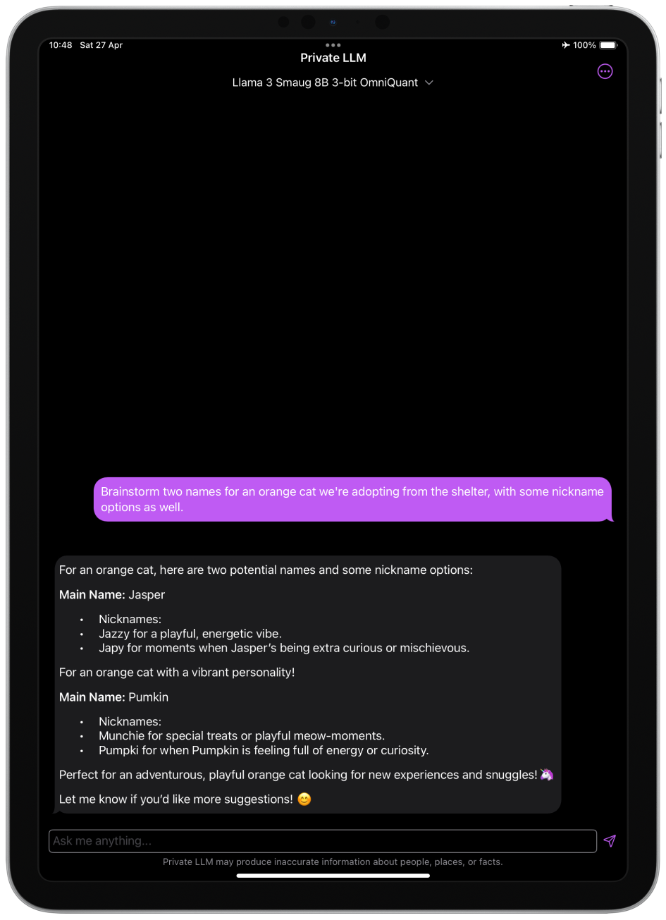 Screenshot of Llama 3 Smaug 8B Running on iPad